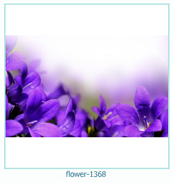 květinový fotorámeček 1368