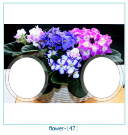 květinový fotorámeček 1471