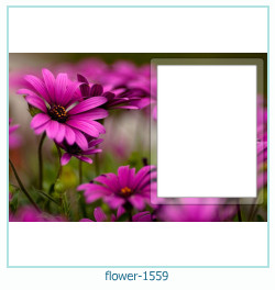 květinový fotorámeček 1559