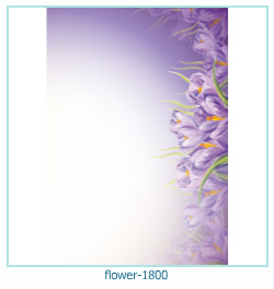 květinový fotorámeček 1800