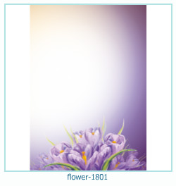 květinový fotorámeček 1801