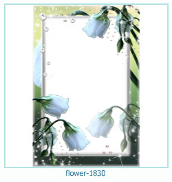 květinový fotorámeček 1830