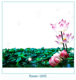 květinový fotorámeček 1845