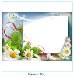 květinový fotorámeček 1850