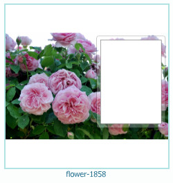 květinový fotorámeček 1858