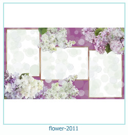 květinový fotorámeček 2011