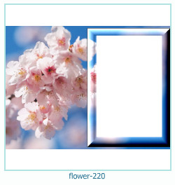 květinový fotorámeček 220