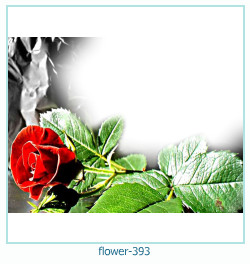 květinový fotorámeček 393