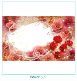 květinový fotorámeček 539